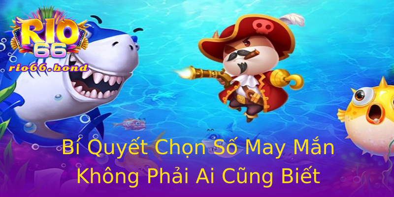 Bí Quyết Chọn Số May Mắn Không Phải Ai Cũng Biết Bí Quyết Chọn Số May Mắn Không Phải Ai Cũng Biết
