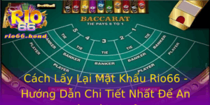 Cach Lay Lai Mat Khau Rio66 Huong Dan Chi Tiet Nhat E An Toan Tai Khoan