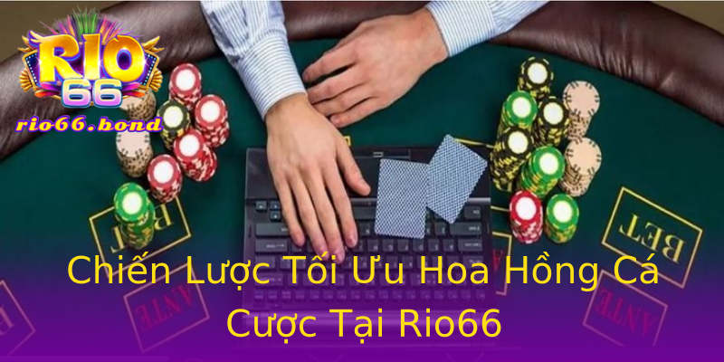 Chiến Lược Tối Ưu Hoa Hồng Cá Cược Tại Rio66 Chiến Lược Tối Ưu Hoa Hồng Cá Cược Tại Rio66