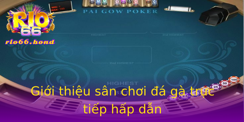 Giới thiệu sân chơi đá gà trực tiếp hấp dẫn Giới thiệu sân chơi đá gà trực tiếp hấp dẫn