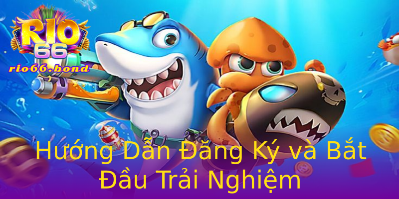 Hướng Dẫn Đăng Ký và Bắt Đầu Trải Nghiệm Hướng Dẫn Đăng Ký và Bắt Đầu Trải Nghiệm