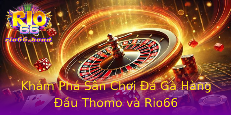 Khám Phá Sân Chơi Đá Gà Hàng Đầu Thomo và Rio66 Khám Phá Sân Chơi Đá Gà Hàng Đầu Thomo và Rio66