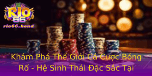 Kham Pha The Gioi Ca Cuoc Bong Ro He Sinh Thai Ac Sac Tai Rio66