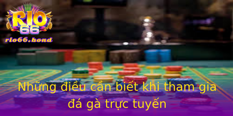 Những điều cần biết khi tham gia đá gà trực tuyến Những điều cần biết khi tham gia đá gà trực tuyến