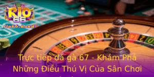 Truc Tiep A Ga 67 Kham Pha Nhung Ieu Thu Vi Cua San Choi A Ga Online